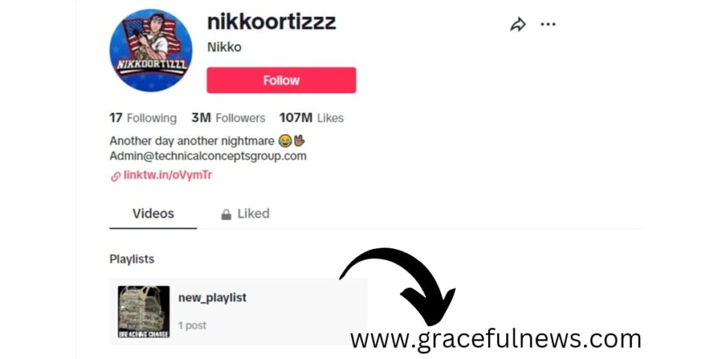 Nikko's TikTok Account